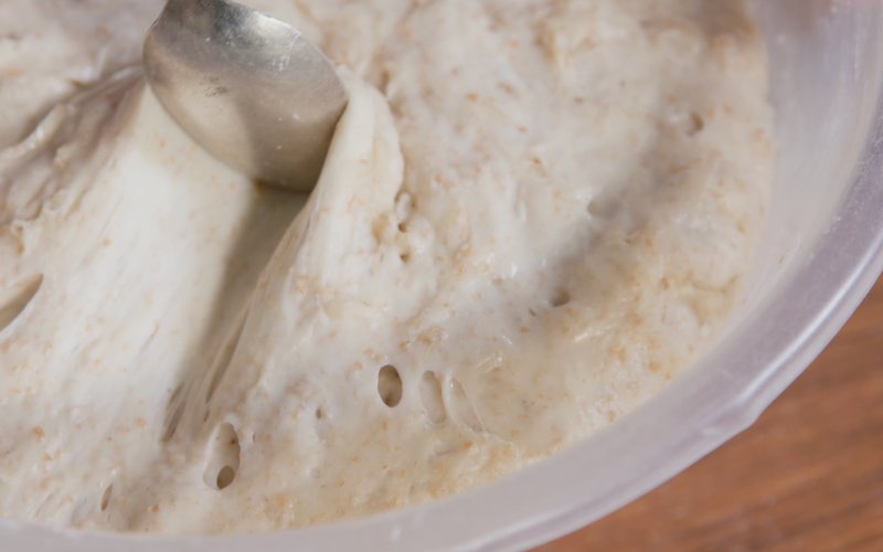 Sourdough starter